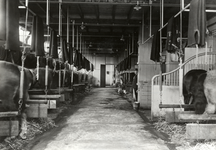 168334 Interieur van de paardenstal van Van Gend & Loos aan de Van Musschenbroekstraat (bij het station Amsterdam ...